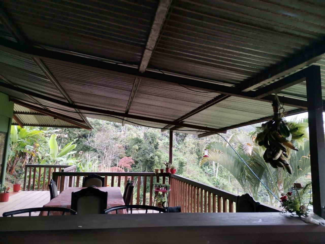 Bella Vista Guest House Turrialba Bagian luar foto