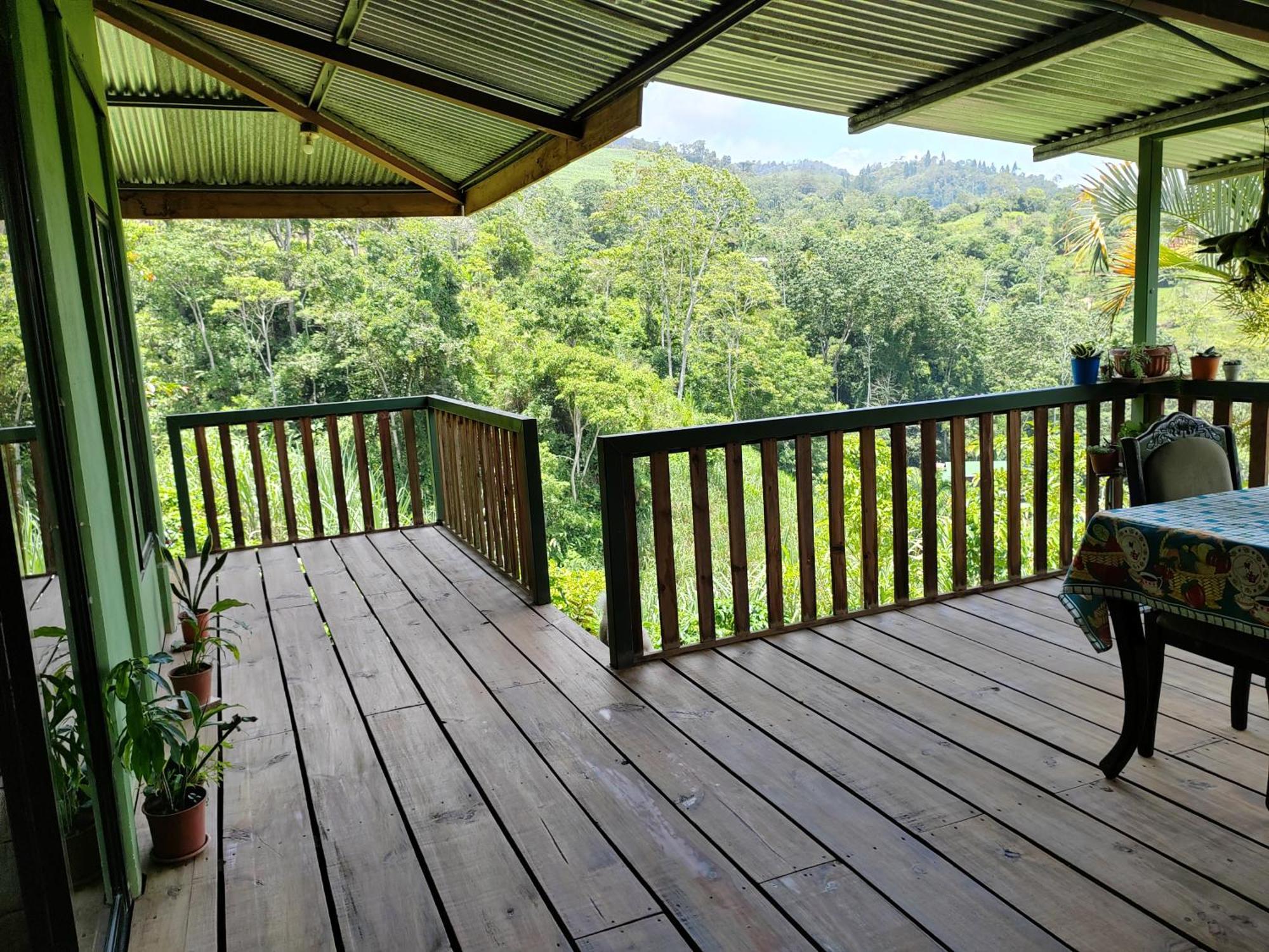 Bella Vista Guest House Turrialba Bagian luar foto
